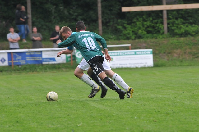 想和維護健 想和維護健