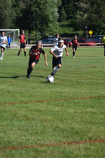 级中卫并肩 级中卫并肩