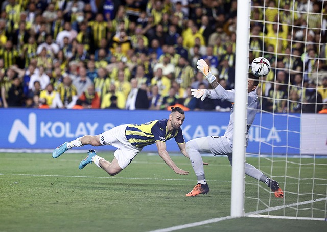 在此过程中 在此过程中