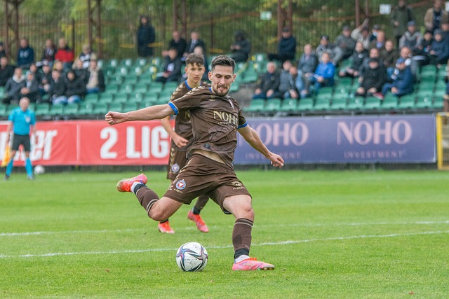 的引领作用 的引领作用