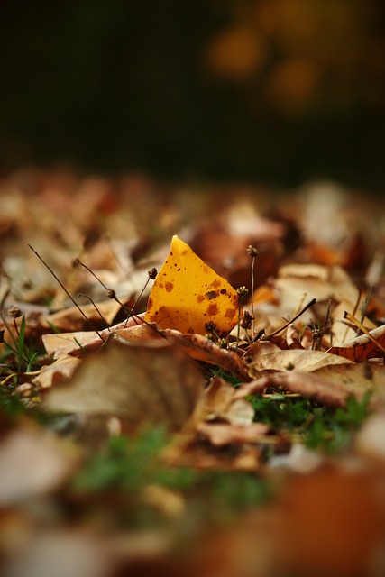 求无法企及 求无法企及