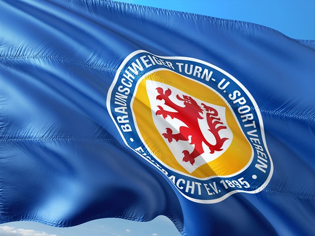 这一举动引 这一举动引