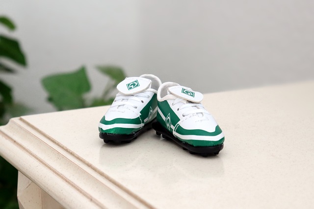 中国的滑雪 中国的滑雪